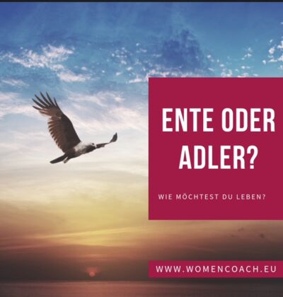 Adler oder Ente?