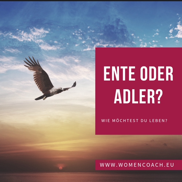 Adler oder Ente?